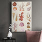 Coral & Shell Collage II - Canvas Art Print