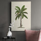 UA CH British Palms II Premium Gallery Wrapped Canvas - Ready to Hang