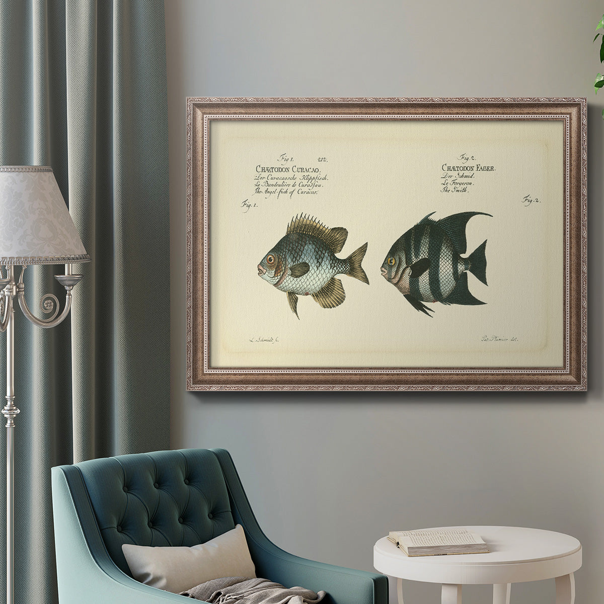 Bloch Antique Fish II Premium Framed Canvas- Ready to Hang