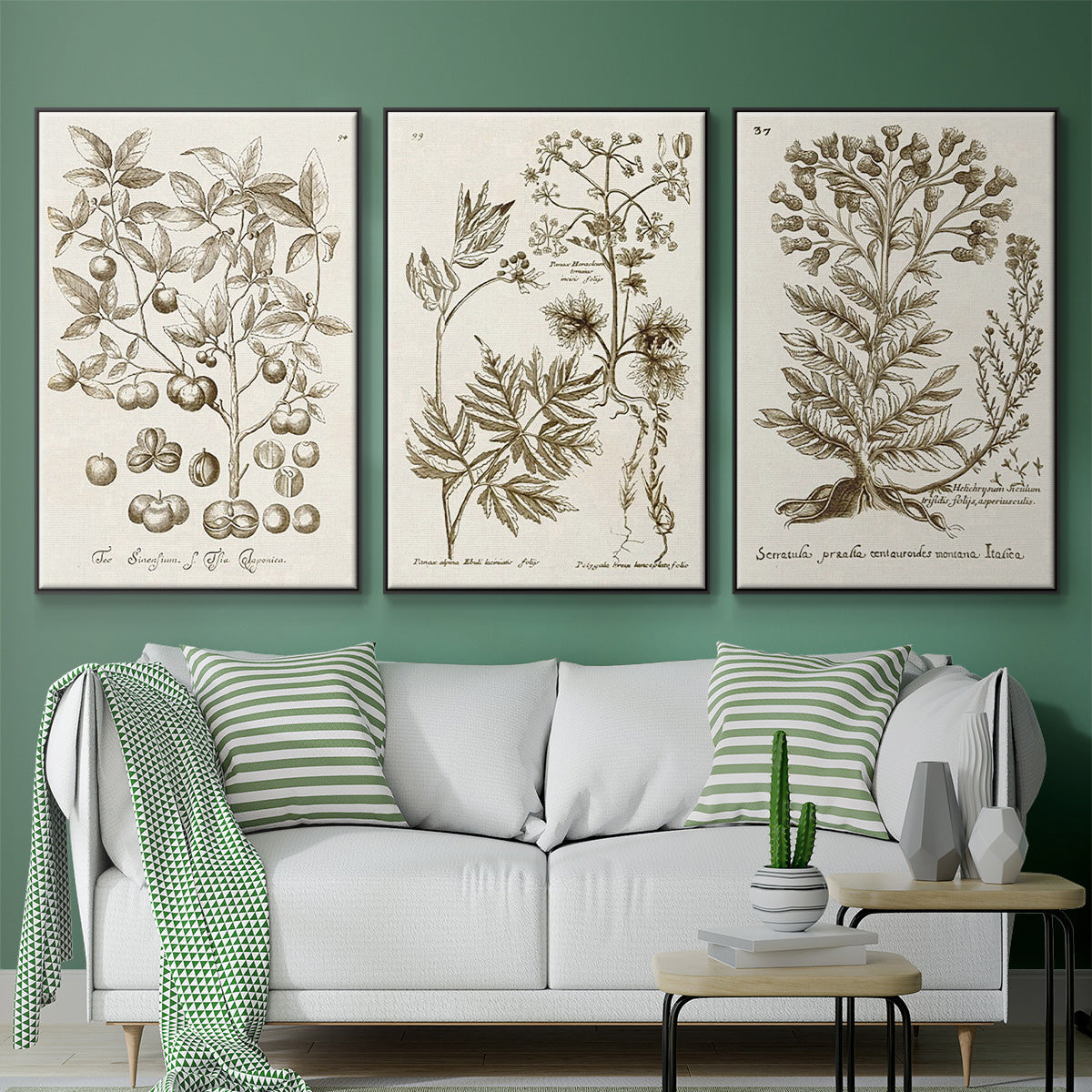 Sepia Botanical Journal I - Framed Premium Gallery Wrapped Canvas L Frame 3 Piece Set - Ready to Hang