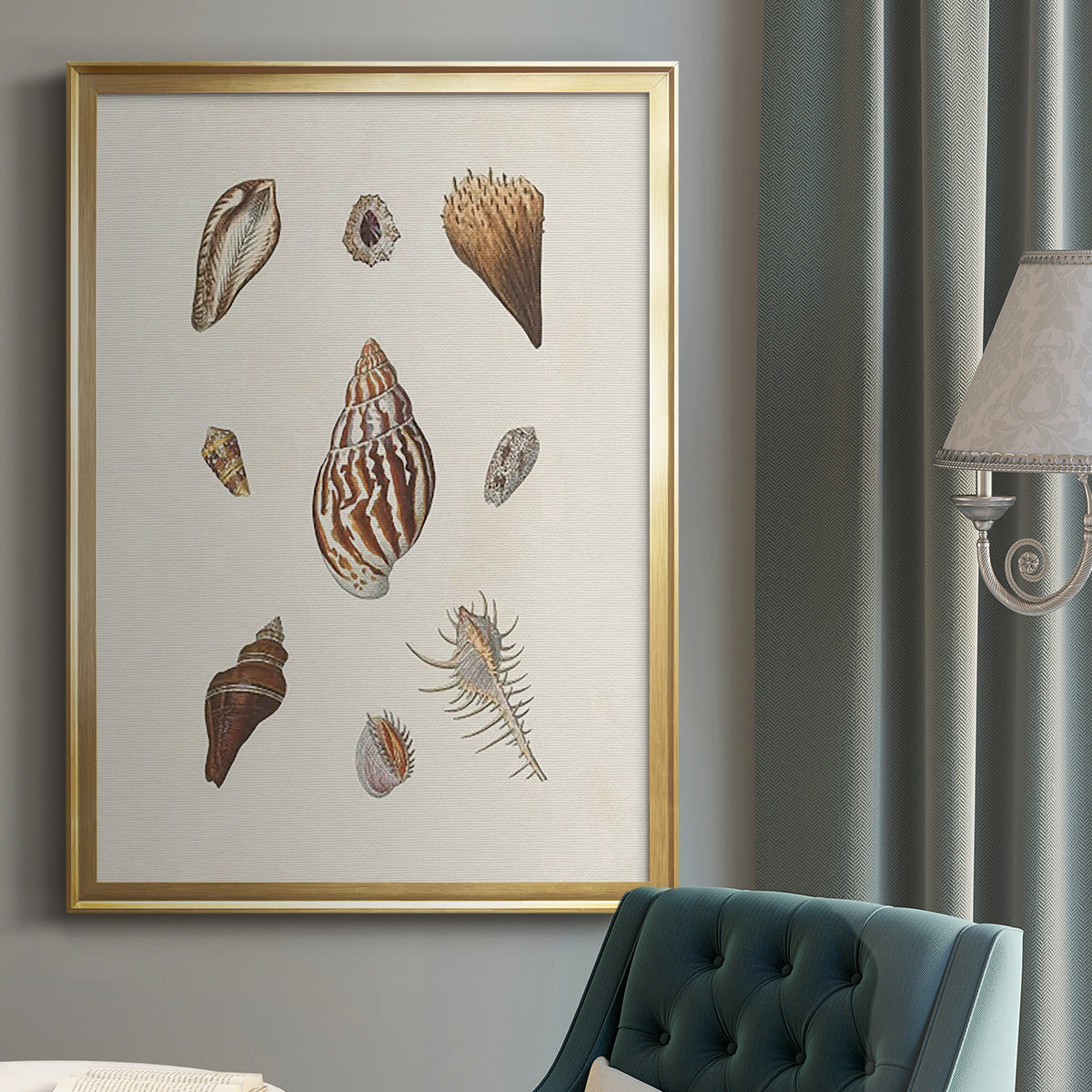 Knorr Shells & Coral IX - Modern Framed Canvas Print