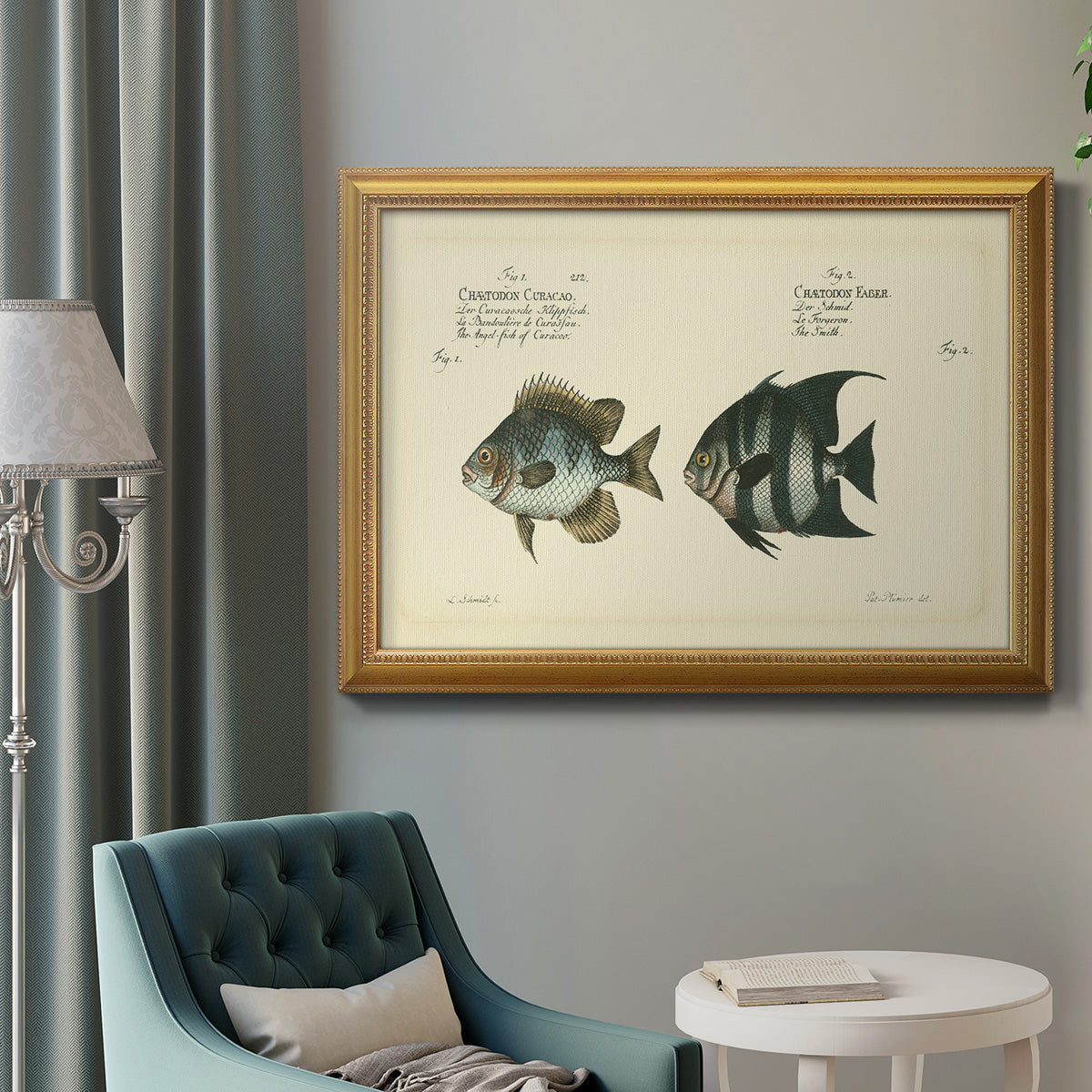 Bloch Antique Fish II Premium Framed Canvas- Ready to Hang