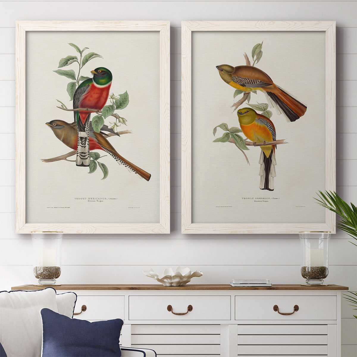 Elegant Trogons I - Premium Framed Canvas 2 Piece Set - Ready to Hang