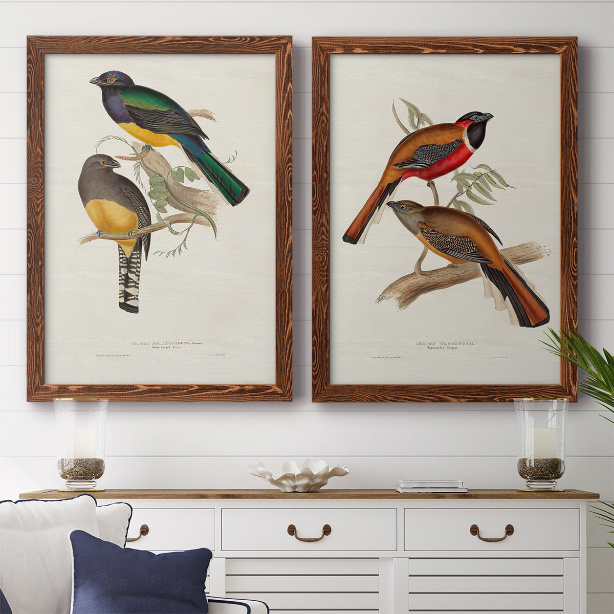 Elegant Trogons III - Premium Framed Canvas 2 Piece Set - Ready to Hang