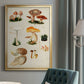 Mushroom Species IV - Modern Framed Canvas Print