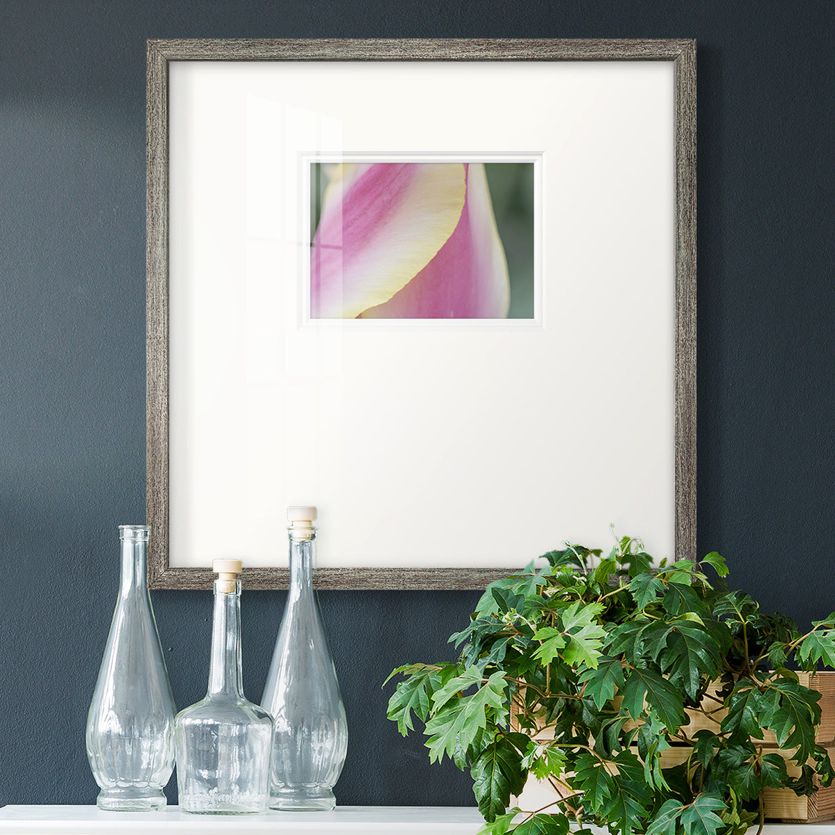 Delicate Premium Framed Print Double Matboard