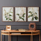 Floral Study Series LXXXVII - Restickable Framed Art Set