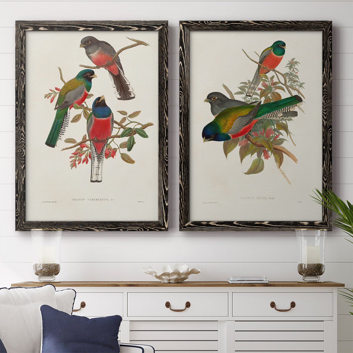 Elegant Trogons IX - Premium Framed Canvas 2 Piece Set - Ready to Hang