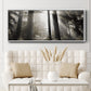 Morning Light - Floater Framed Canvas Print