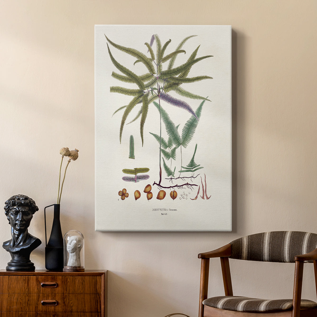 Botanical Society Ferns VIII - Canvas Art Print
