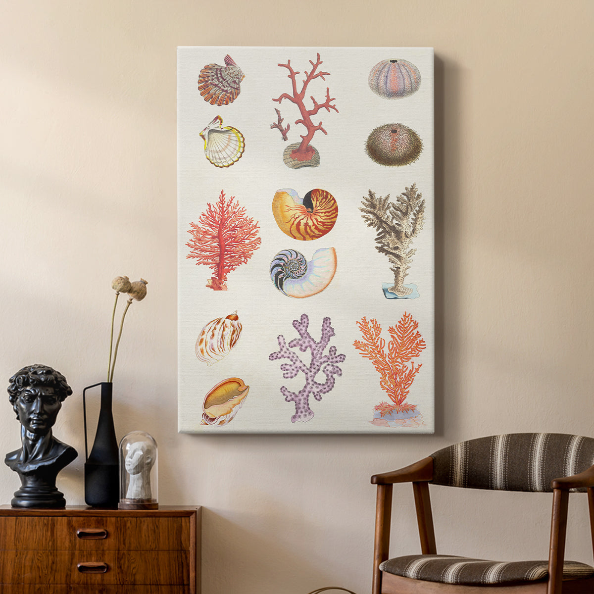 Coral & Shell Collage I - Canvas Art Print