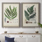 Collected Ferns III - Premium Framed Canvas 2 Piece Set - Ready to Hang