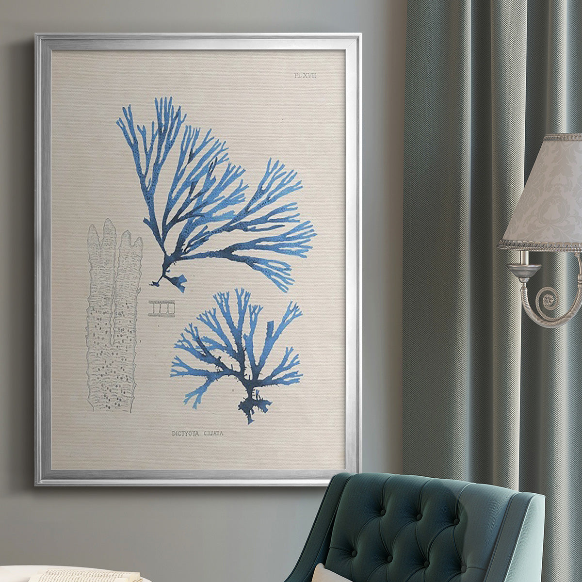 Blue Marine Algae V - Modern Framed Canvas Print