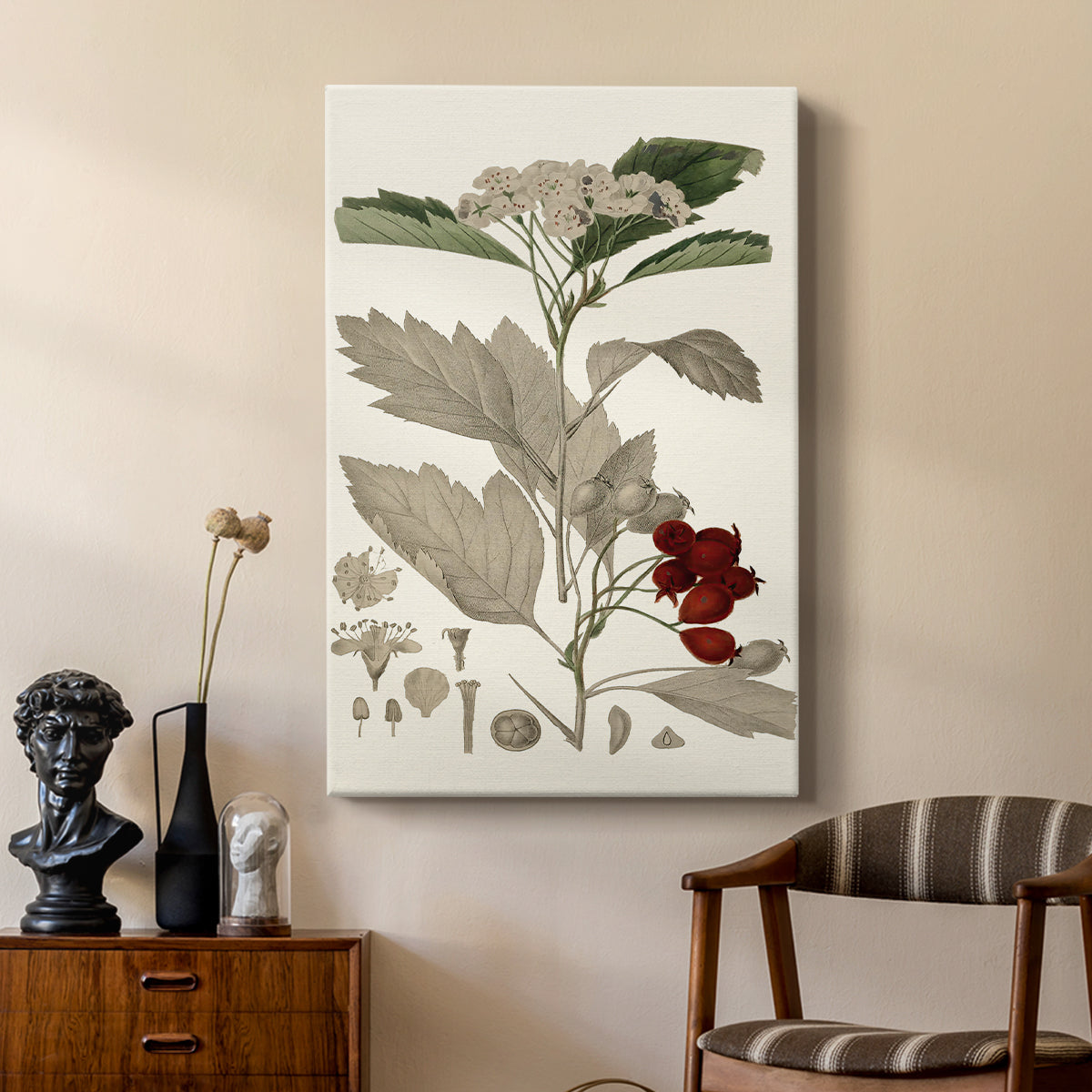 Leaves & Berries I - Canvas Art Print
