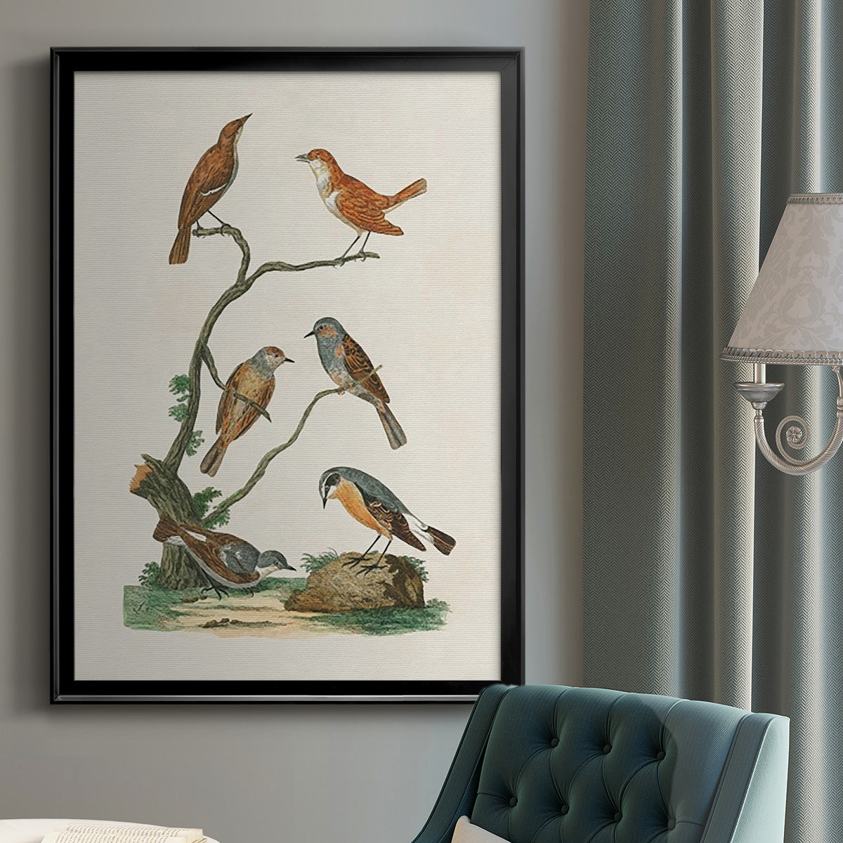 Antique Birds in Nature IV - Modern Framed Canvas Print