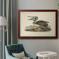 Audubons Brown Pelican - Ornate Framed Canvas Print