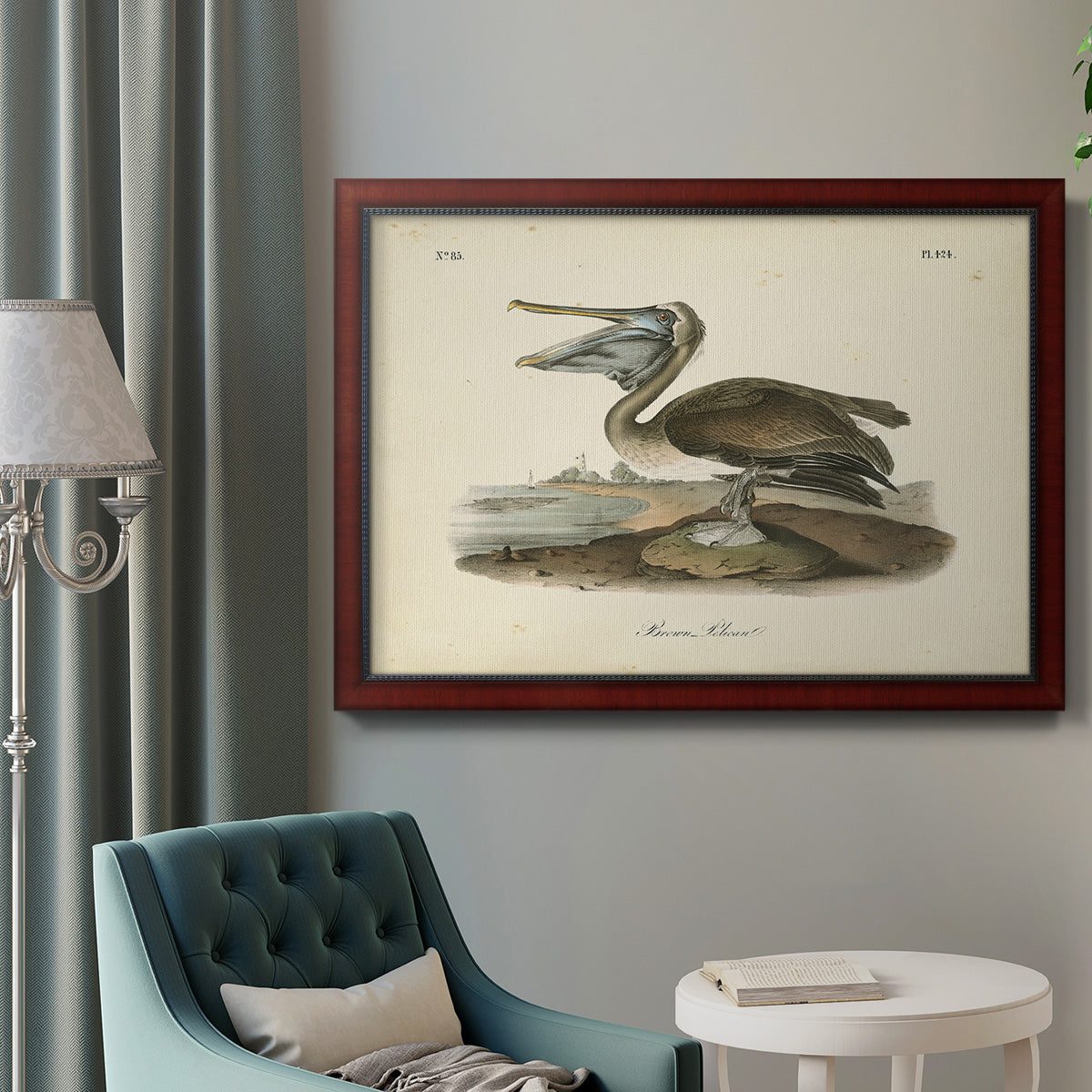 Audubons Brown Pelican - Ornate Framed Canvas Print