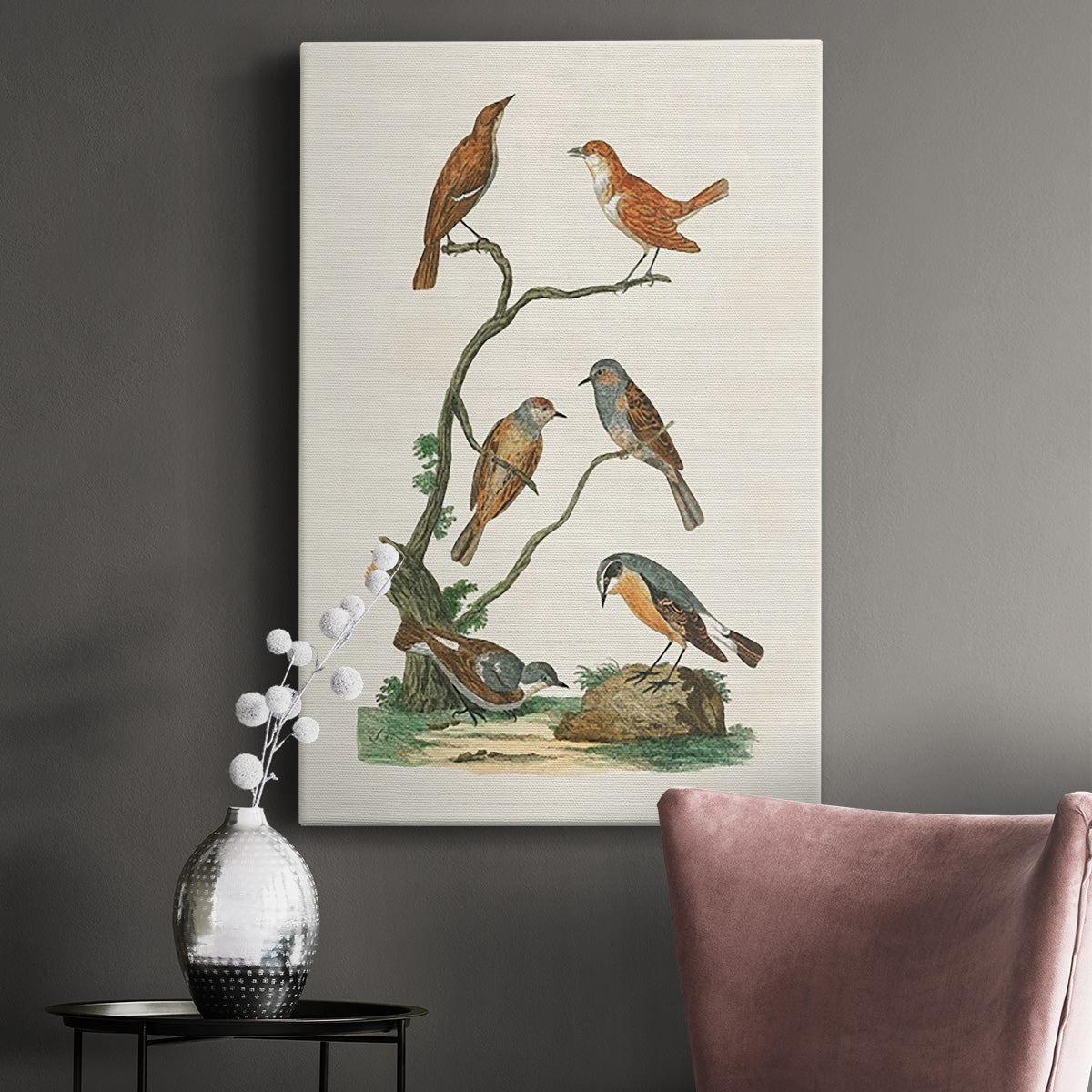 Antique Birds in Nature IV Premium Gallery Wrapped Canvas - Ready to Hang