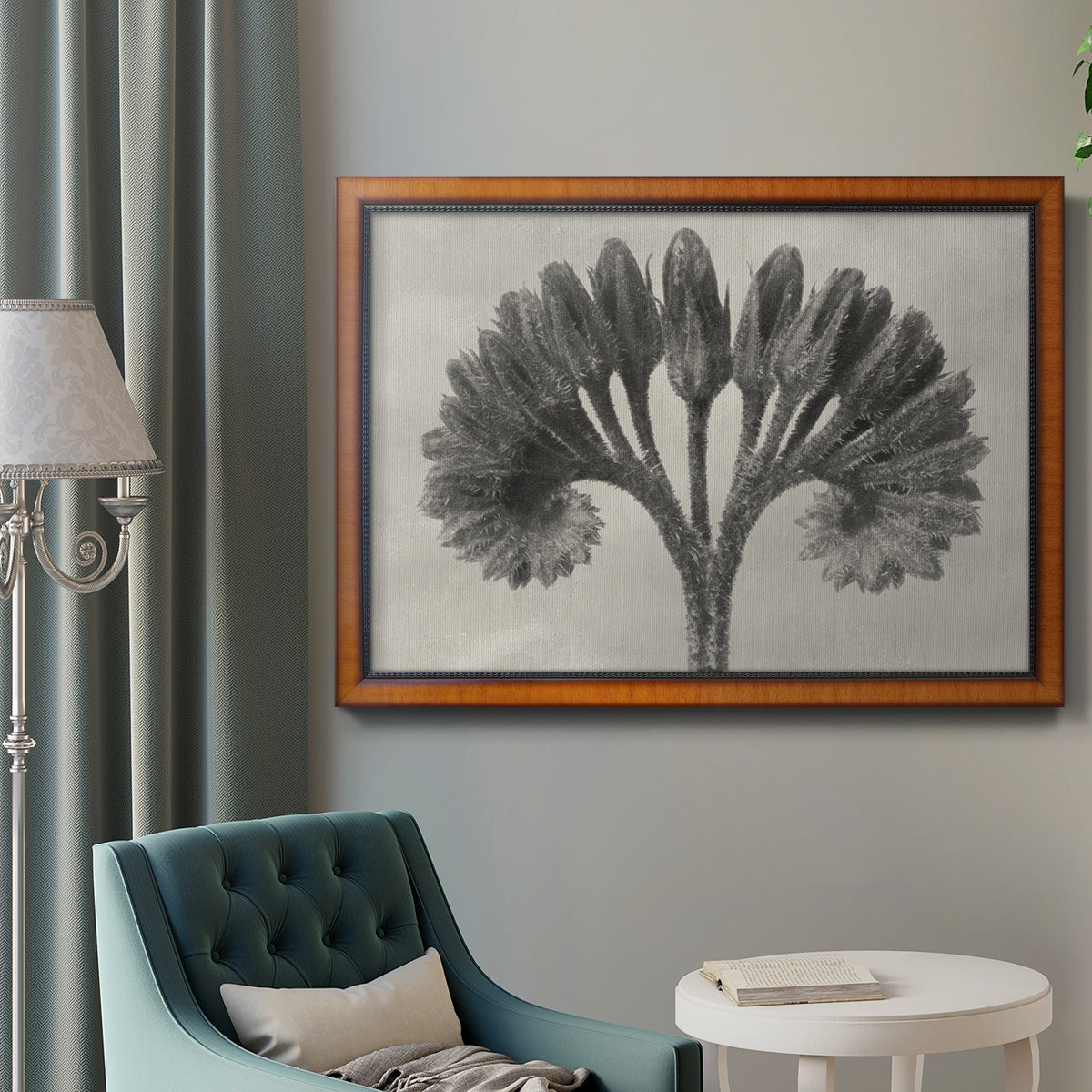 Vintage botanical plant study photograph by Karl Blossfeldt in an ornate vintage burl wood frame displayed in a neutral interior setting.