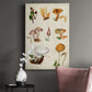 Mushroom Species VI - Canvas Art Print