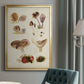 Mushroom Species III - Modern Framed Canvas Print