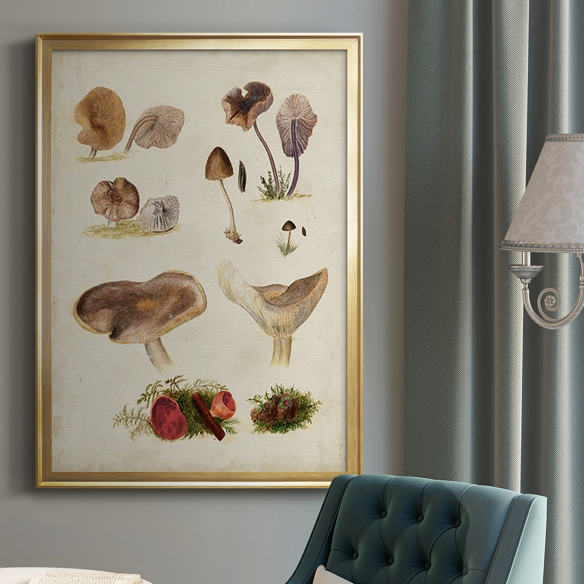Mushroom Species III - Modern Framed Canvas Print