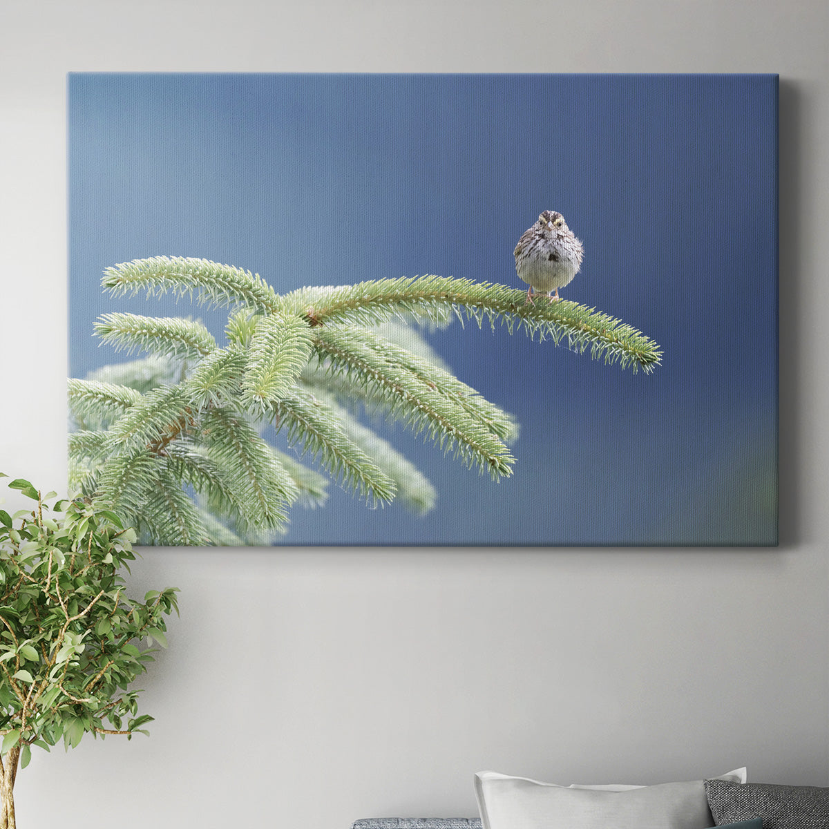 Evergreen Perch Premium Gallery Wrapped Canvas - Ready to Hang