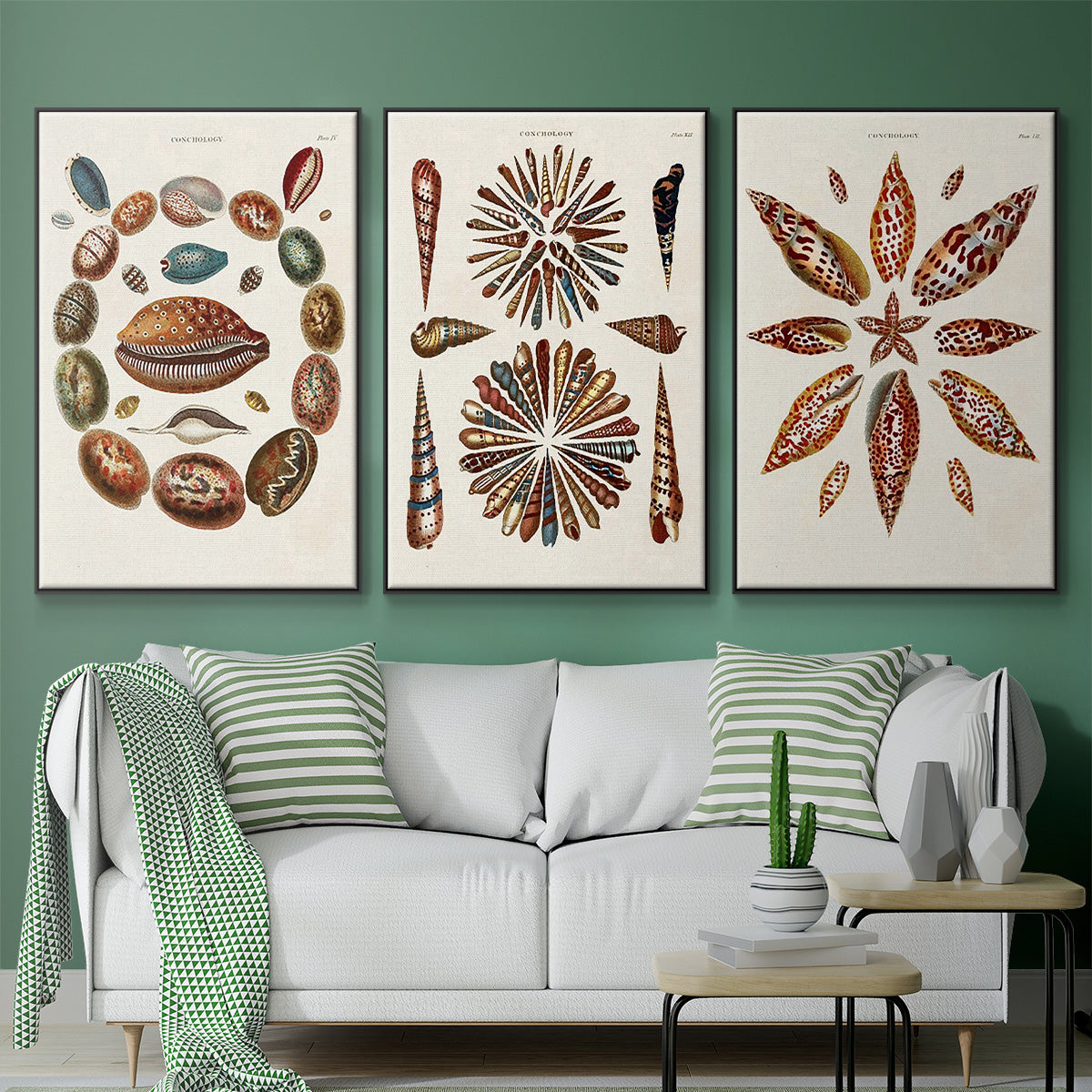 Spiral Shell Formation I - Framed Premium Gallery Wrapped Canvas L Frame 3 Piece Set - Ready to Hang