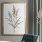 Dainty Botanical I - Modern Framed Canvas Print