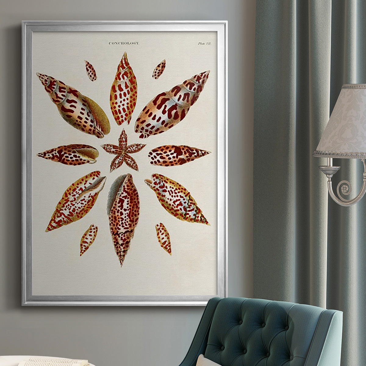 Spiral Shell Formation I - Modern Framed Canvas Print
