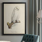 French Owls IV - Modern Framed Canvas Print