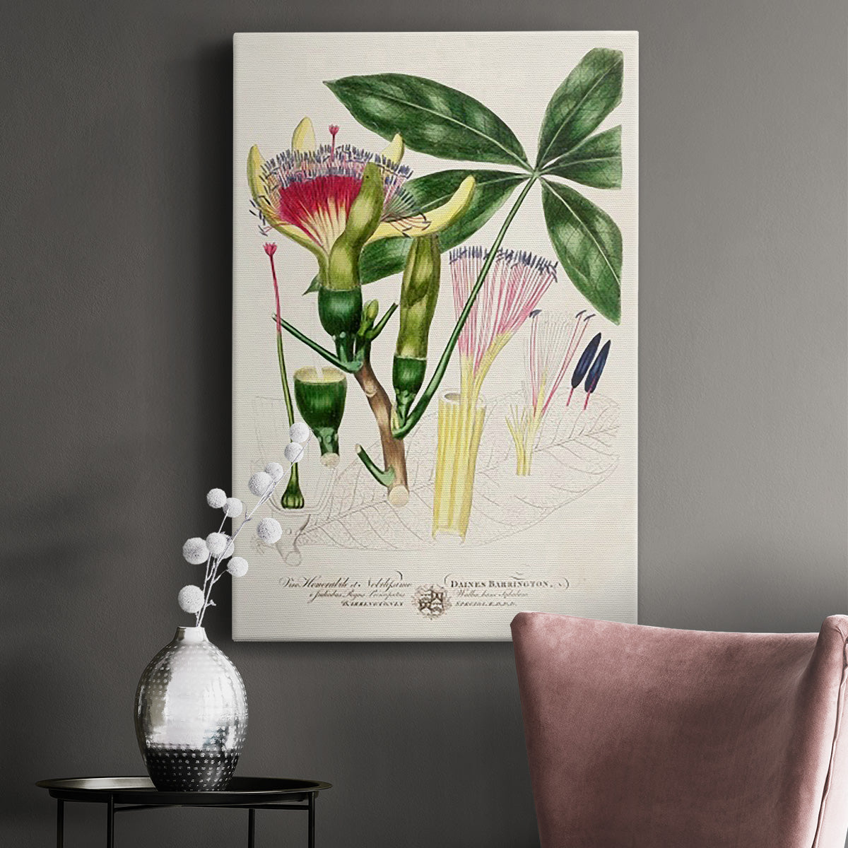 Imperial Tropical Botanical II Premium Gallery Wrapped Canvas - Ready to Hang