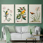 Bird in Habitat III - Framed Premium Gallery Wrapped Canvas L Frame 3 Piece Set - Ready to Hang