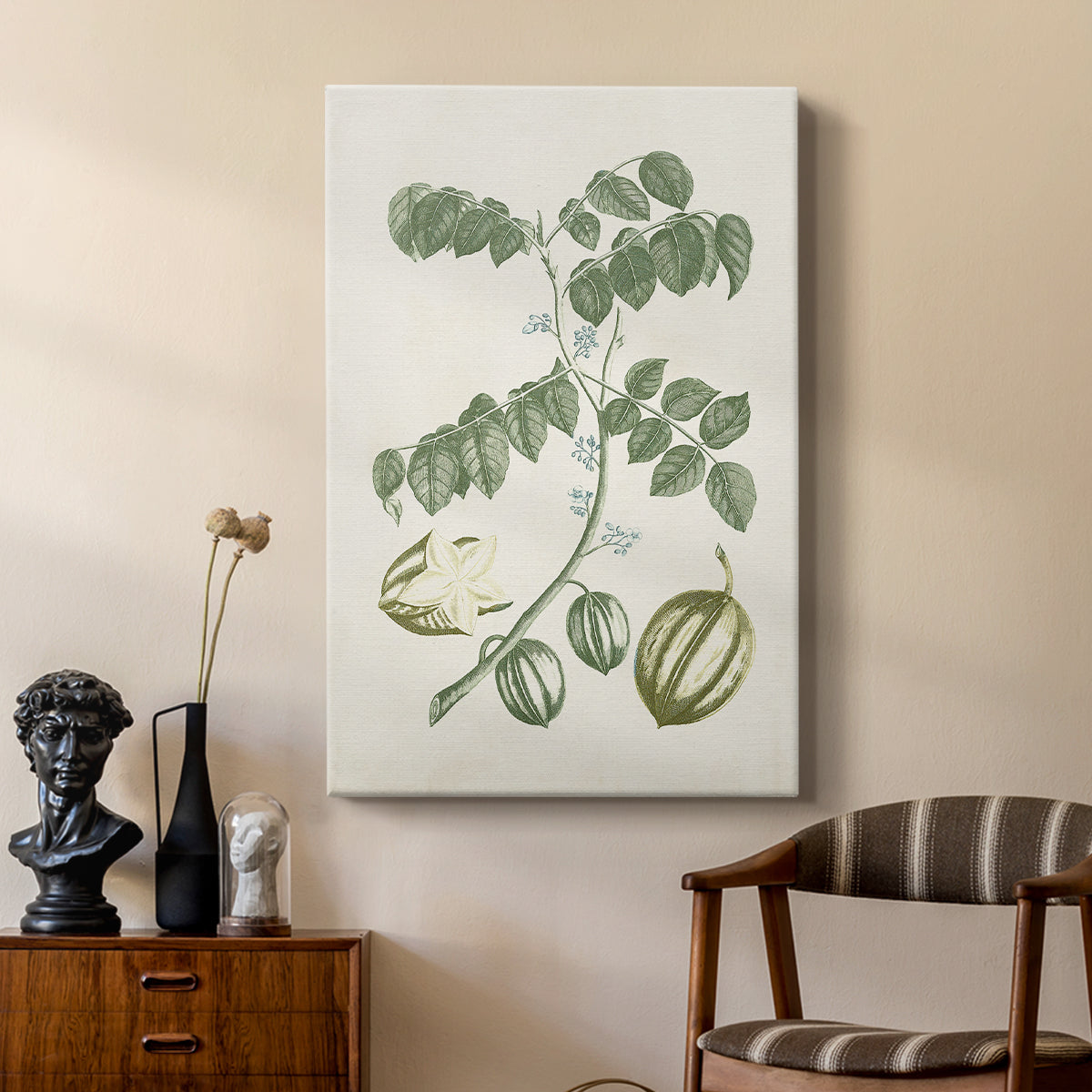 Buchoz Tropicals II - Canvas Art Print