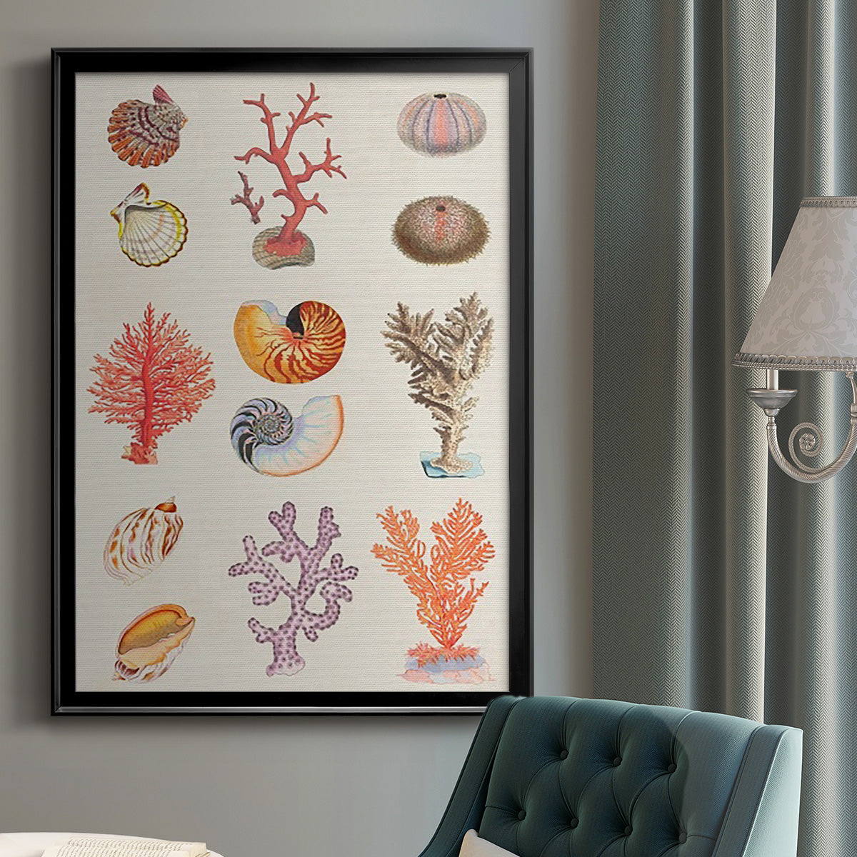 Coral & Shell Collage I -  Framed Canvas Print