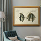 Bloch Antique Fish I Premium Framed Canvas- Ready to Hang