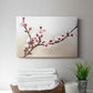 Cherry Blossom Study I - Canvas Art Print