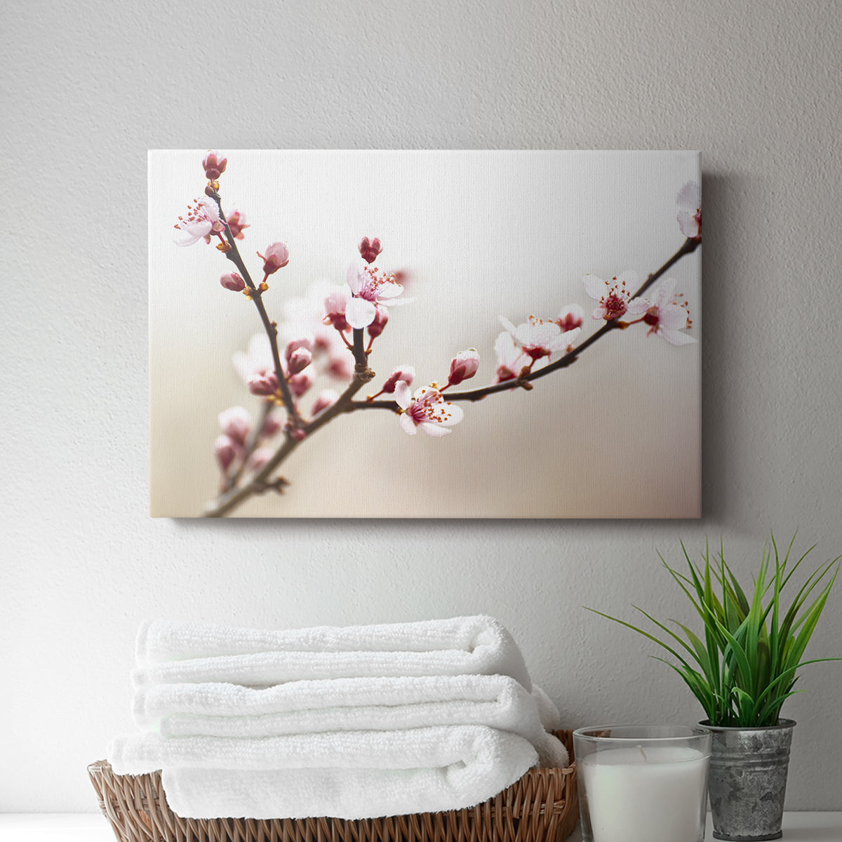 Cherry Blossom Study I - Canvas Art Print