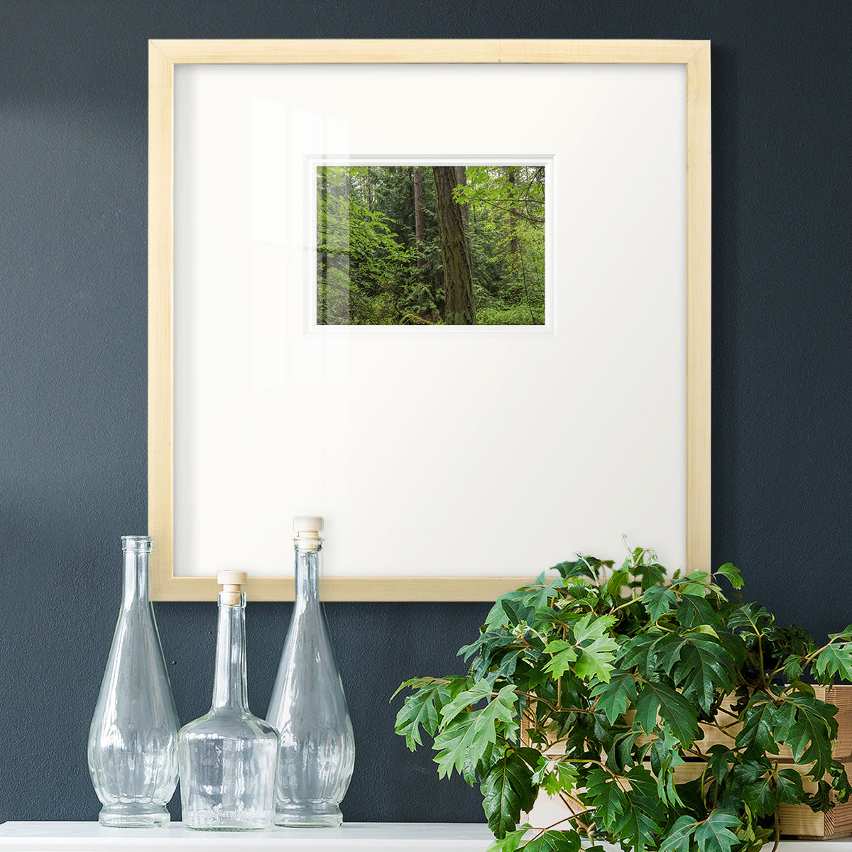 Calm of the Forest- Premium Framed Print Double Matboard