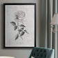 Vintage Botanical I - Modern Framed Canvas Print