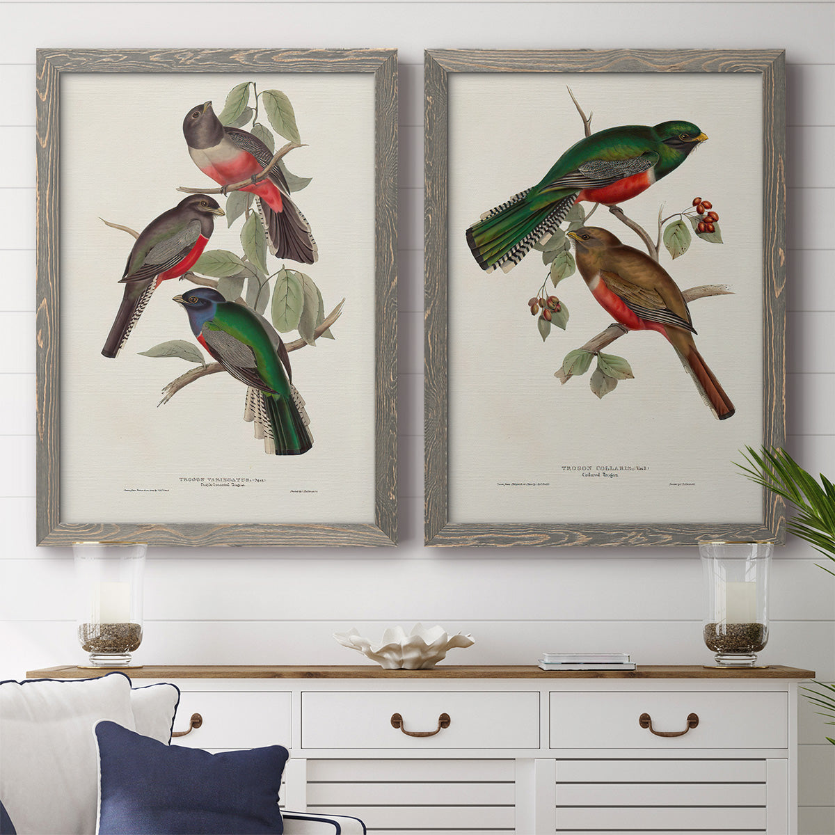 Elegant Trogons V - Premium Framed Canvas 2 Piece Set - Ready to Hang