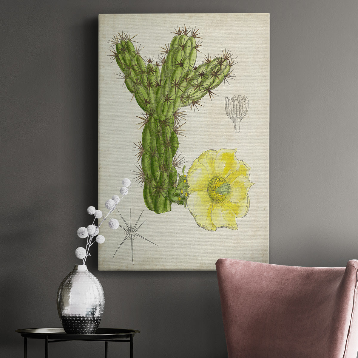 Antique Cactus I Premium Gallery Wrapped Canvas - Ready to Hang