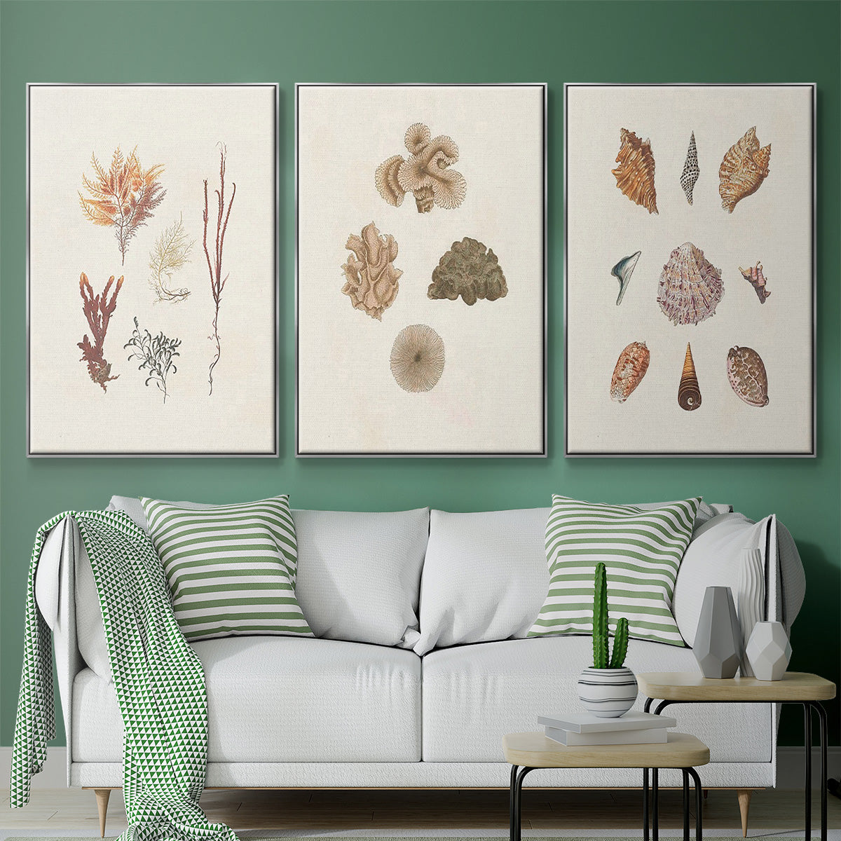 Knorr Shells & Coral VI - Framed Premium Gallery Wrapped Canvas L Frame 3 Piece Set - Ready to Hang