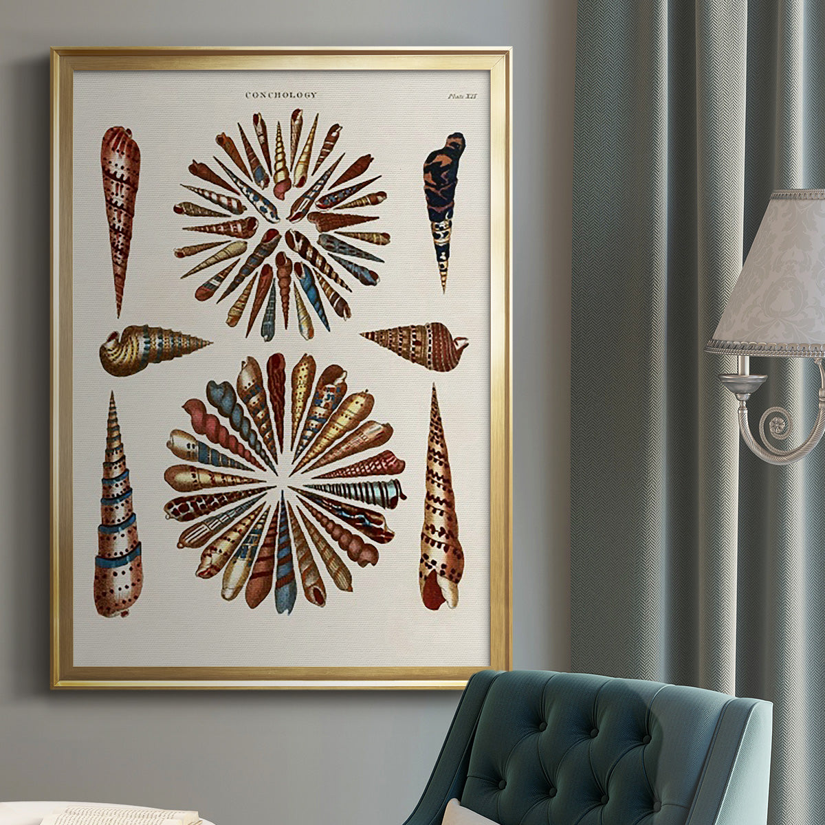 Spiral Shell Formation III - Modern Framed Canvas Print