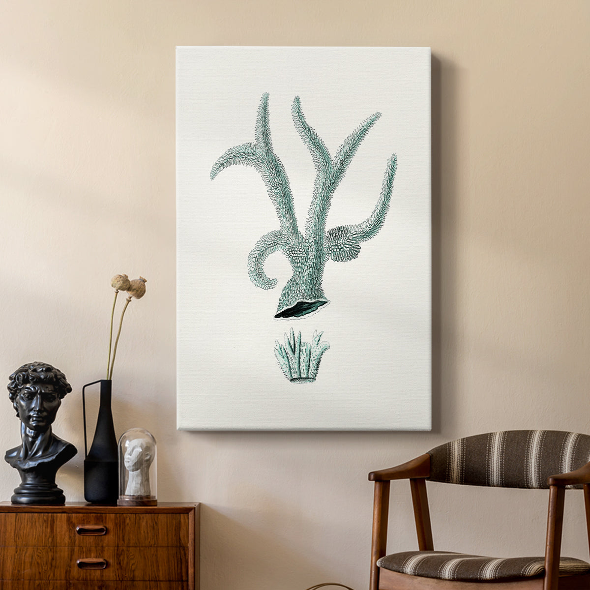 Antique Coastal Coral XII - Canvas Art Print