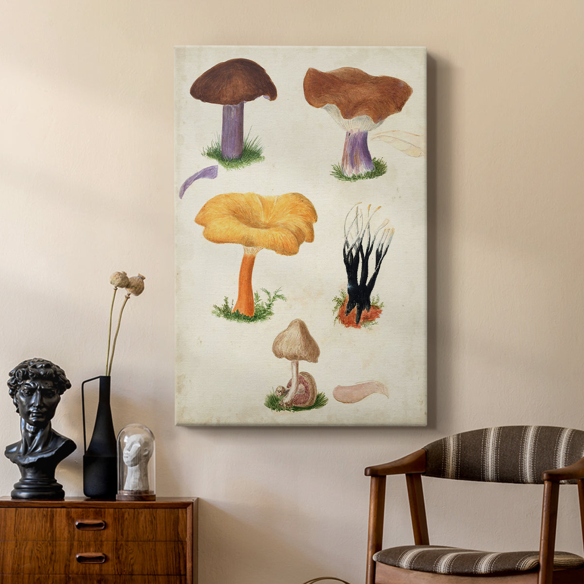 Mushroom Species VII - Canvas Art Print