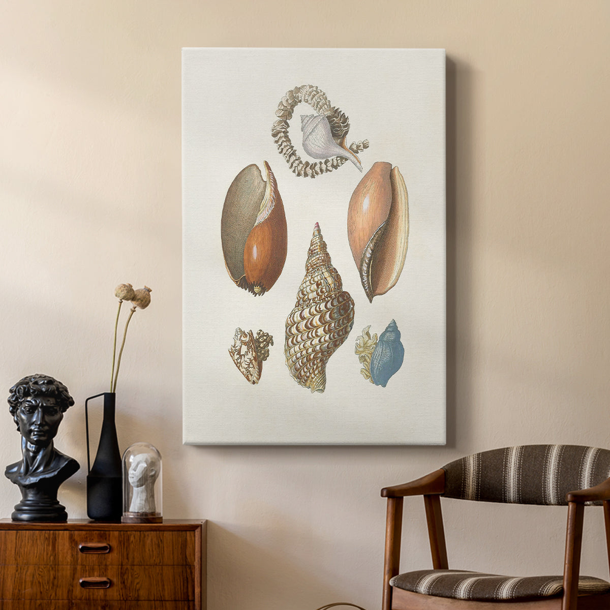 Knorr Shells & Coral I - Canvas Art Print