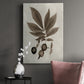 Arbor Specimen VI Premium Gallery Wrapped Canvas - Ready to Hang