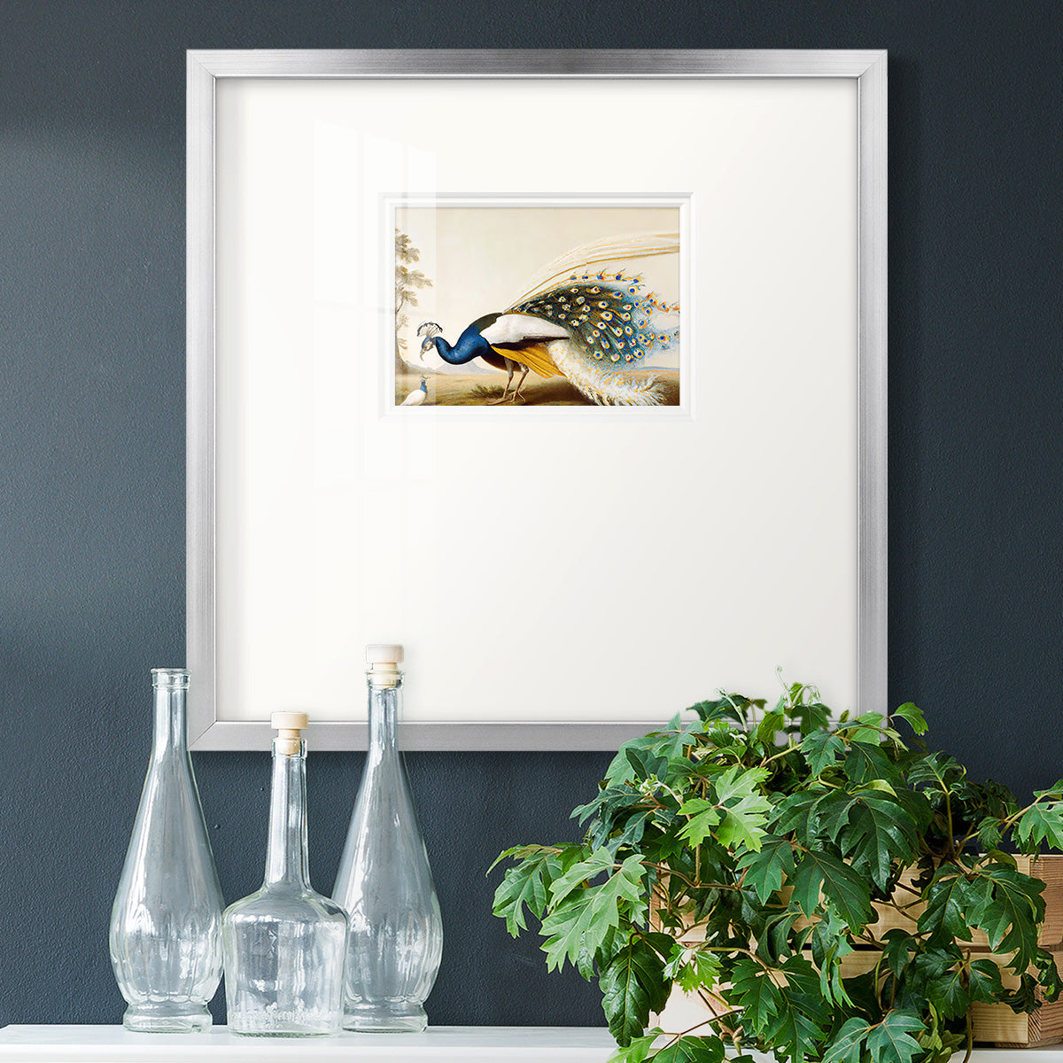 Golden Peacock Premium Framed Print Double Matboard