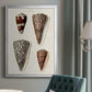 Cone Shell Collection I - Modern Framed Canvas Print